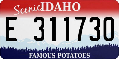 ID license plate E311730