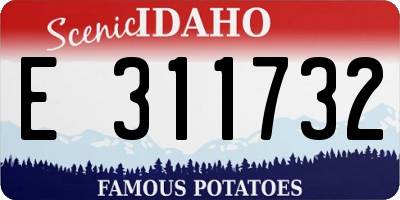 ID license plate E311732