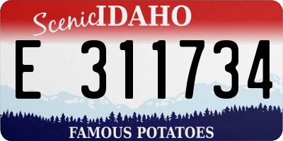 ID license plate E311734