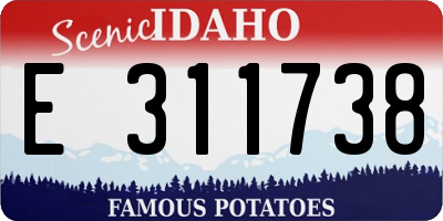 ID license plate E311738