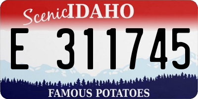ID license plate E311745