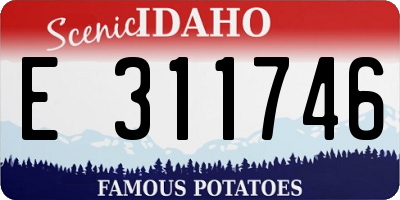 ID license plate E311746