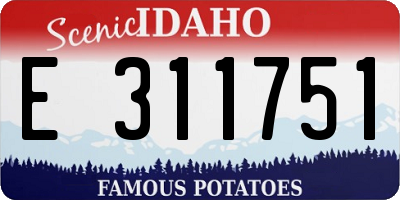 ID license plate E311751