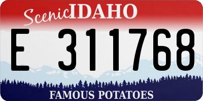 ID license plate E311768