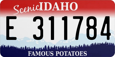 ID license plate E311784