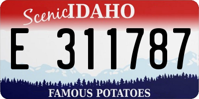 ID license plate E311787