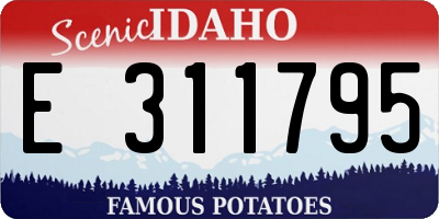 ID license plate E311795