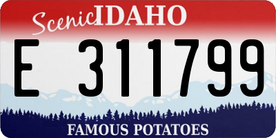 ID license plate E311799