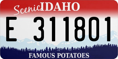 ID license plate E311801