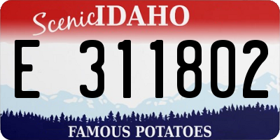 ID license plate E311802