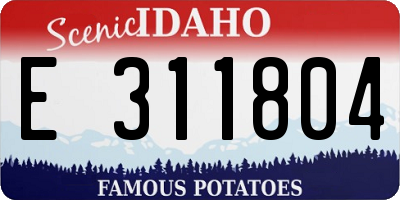ID license plate E311804