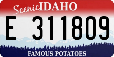 ID license plate E311809