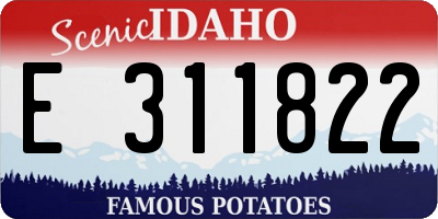 ID license plate E311822