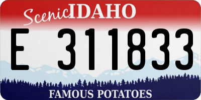 ID license plate E311833