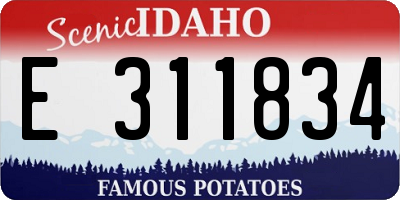 ID license plate E311834
