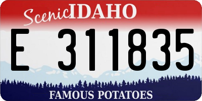 ID license plate E311835