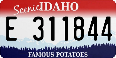 ID license plate E311844