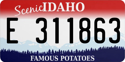 ID license plate E311863