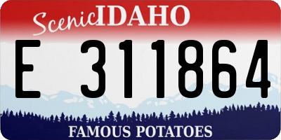 ID license plate E311864