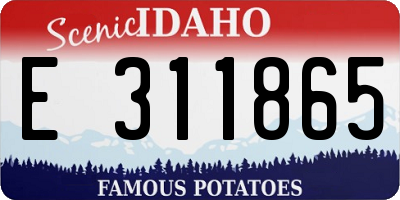 ID license plate E311865