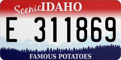 ID license plate E311869