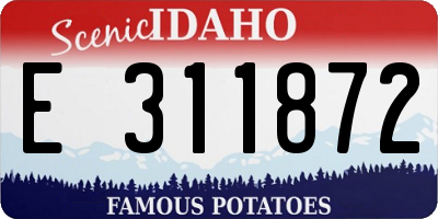 ID license plate E311872