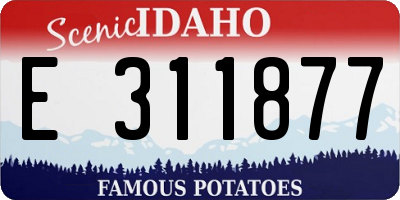 ID license plate E311877