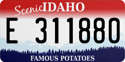 ID license plate E311880