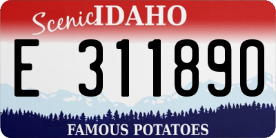 ID license plate E311890