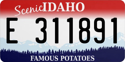 ID license plate E311891