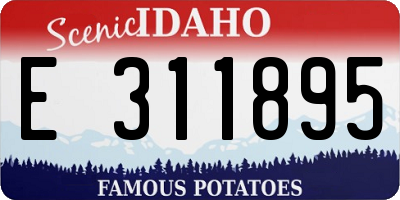 ID license plate E311895