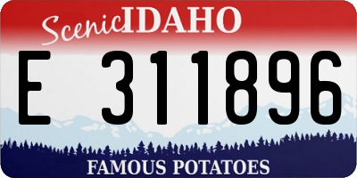 ID license plate E311896