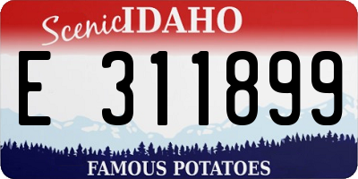 ID license plate E311899
