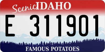 ID license plate E311901