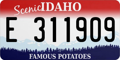 ID license plate E311909