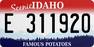 ID license plate E311920