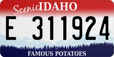 ID license plate E311924