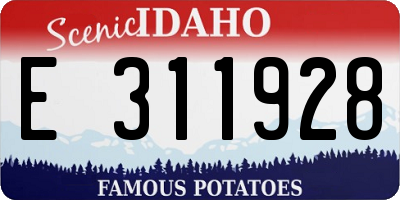 ID license plate E311928
