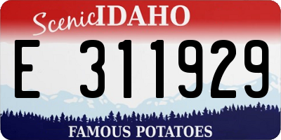 ID license plate E311929