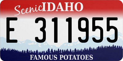 ID license plate E311955