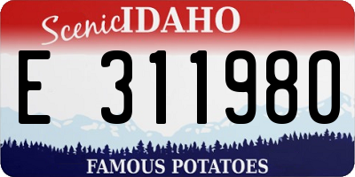 ID license plate E311980