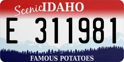 ID license plate E311981