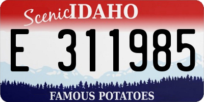 ID license plate E311985