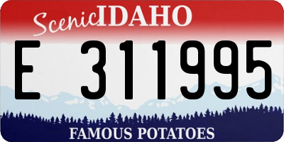 ID license plate E311995