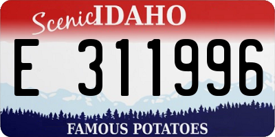 ID license plate E311996