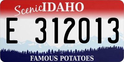 ID license plate E312013