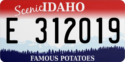 ID license plate E312019