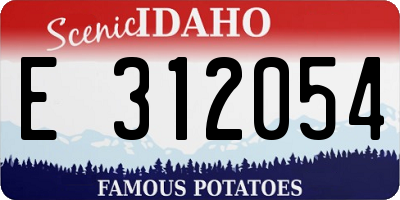 ID license plate E312054