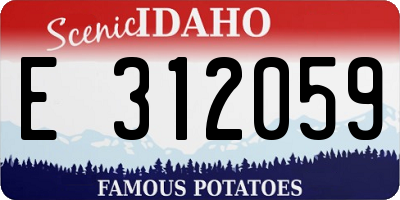 ID license plate E312059