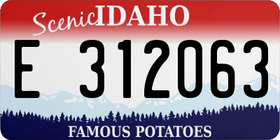 ID license plate E312063